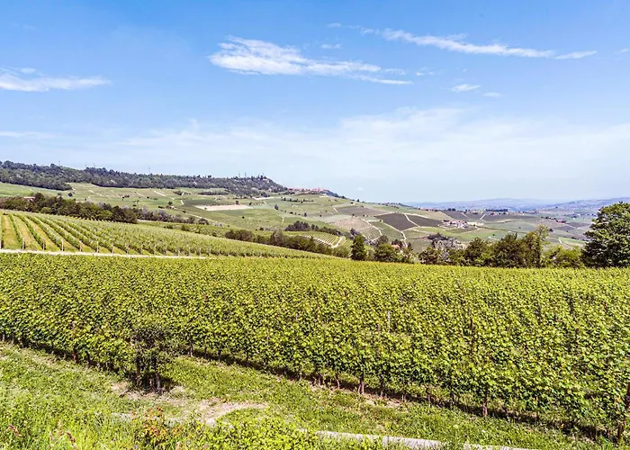 Pet Friendly Lejlighed *