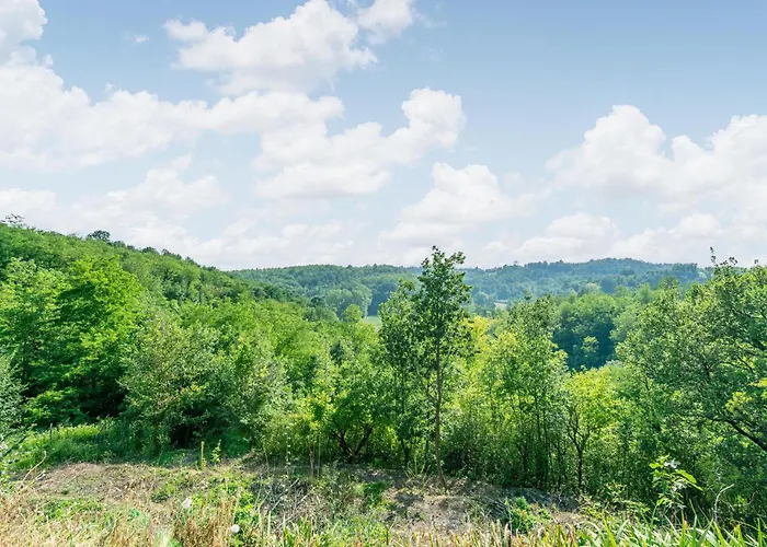 Lejlighed Pet Friendly *